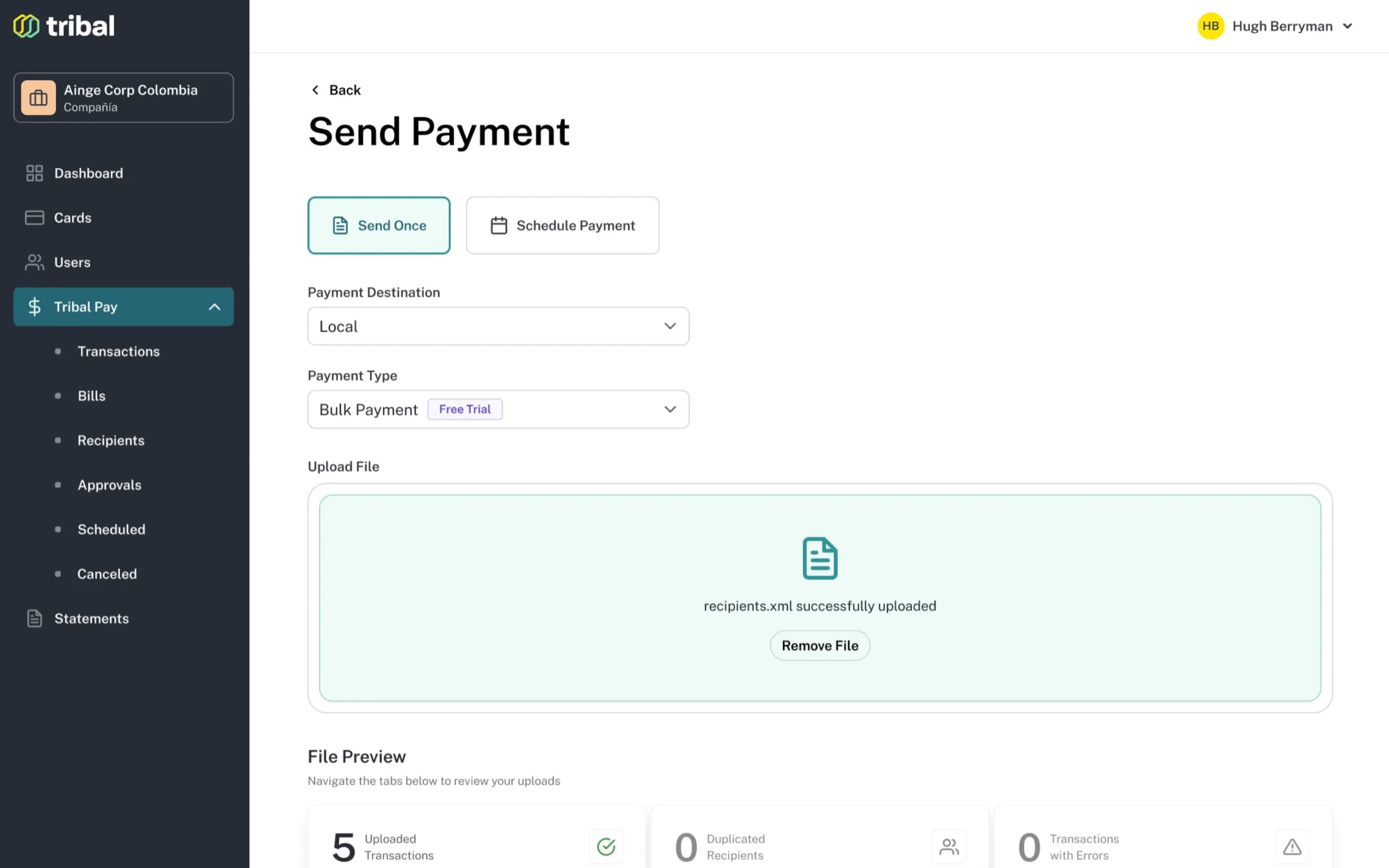 The bulk-payment flow after a recipient file is uploaded, with a preview separating uploaded transactions, duplicate recipients, and errors.